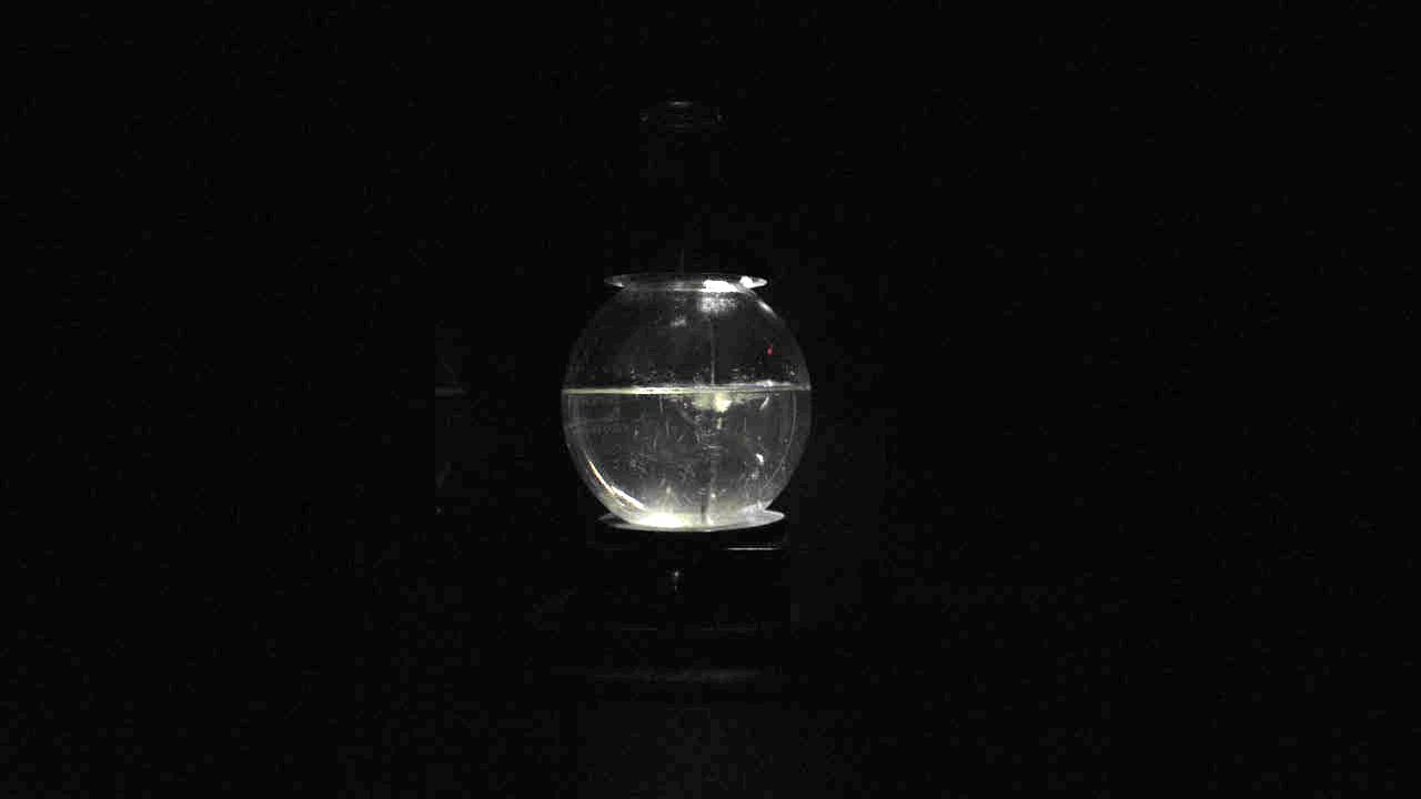 stwst48x8_10_lucitransis_vidstill1.jpg