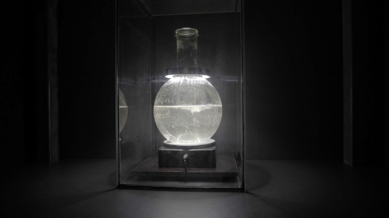 stwst48x8_10_lucitransis_vidstill2.jpg
