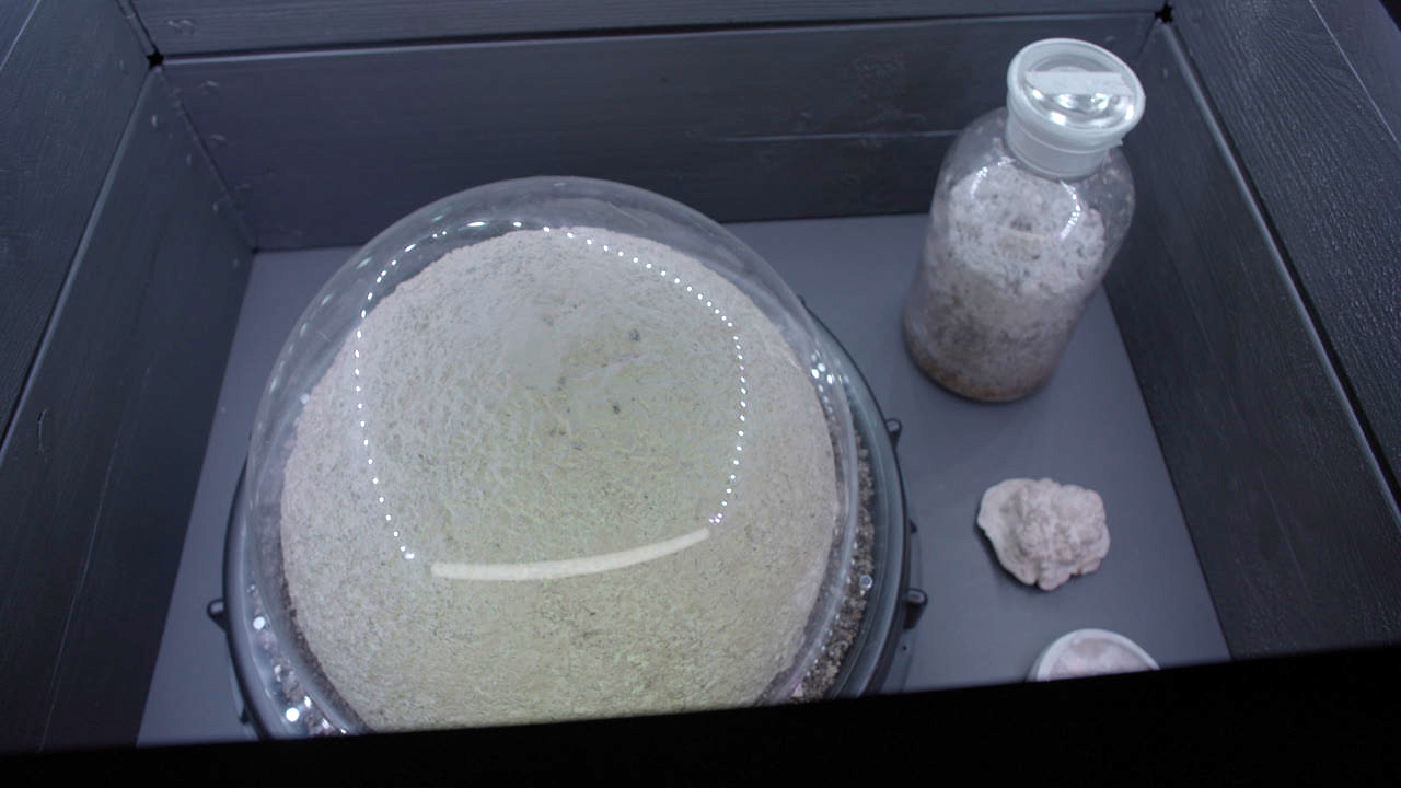 stwst48x8_10_lucitransis_vidstill3.jpg