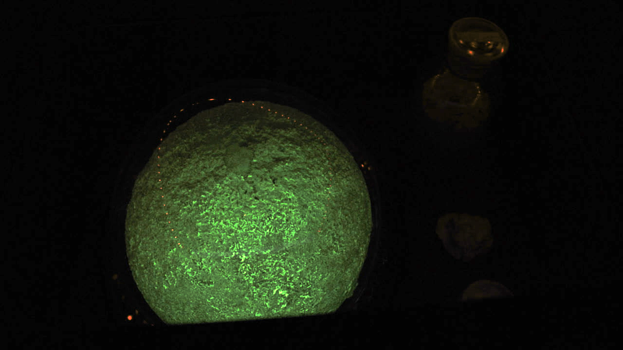 stwst48x8_10_lucitransis_vidstill4.jpg